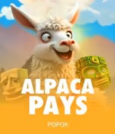Alpaca Pays